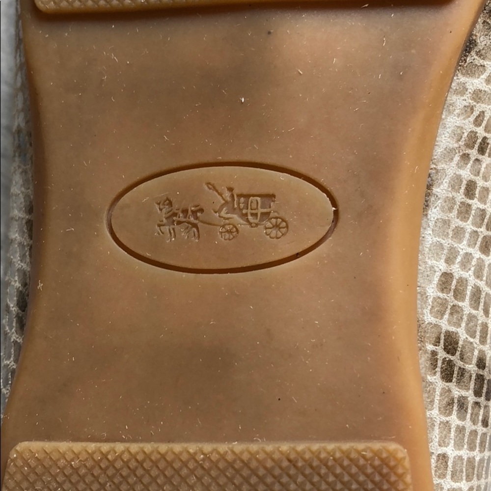 Olive Sand Printed Snake Coach Shoes - Picture 7 of 16